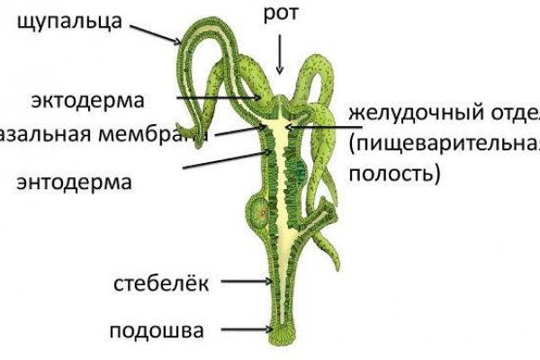 Кракен даркнет площадка ссылка